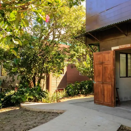 Moon Forest Apartments Monteverde Exterior photo