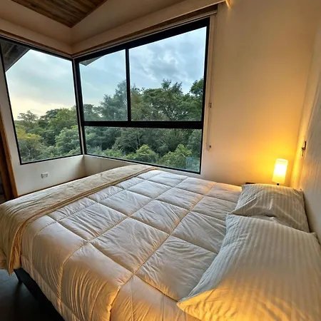Moon Forest Apartments Monteverde Exterior photo