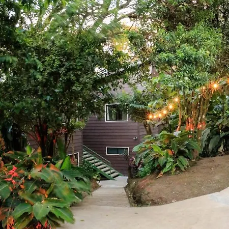Moon Forest Apartments Monteverde Exterior photo