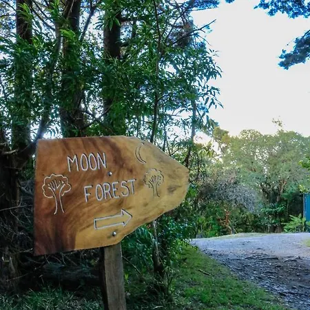 Moon Forest Apartments Monteverde Exterior photo