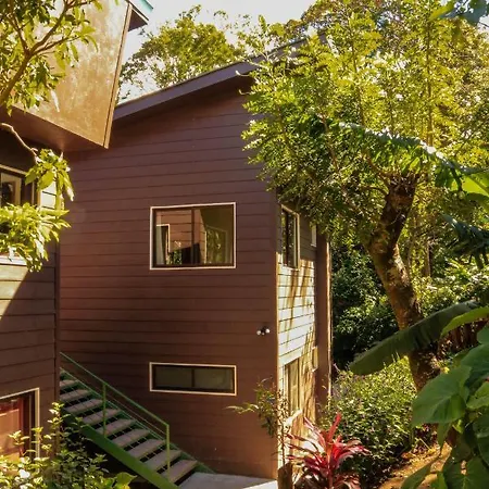 Moon Forest Apartments Monteverde Exterior photo