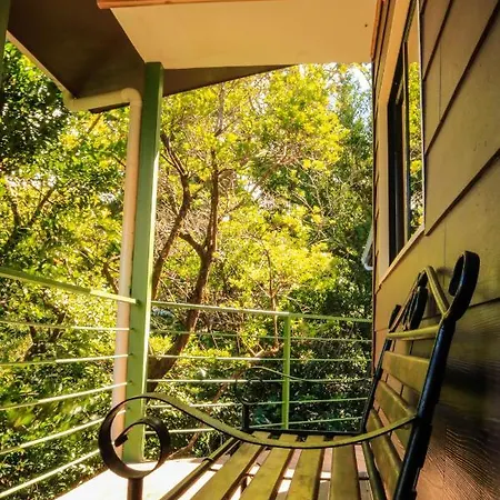 Moon Forest Apartments Monteverde Exterior photo