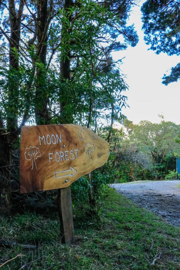 Moon Forest *