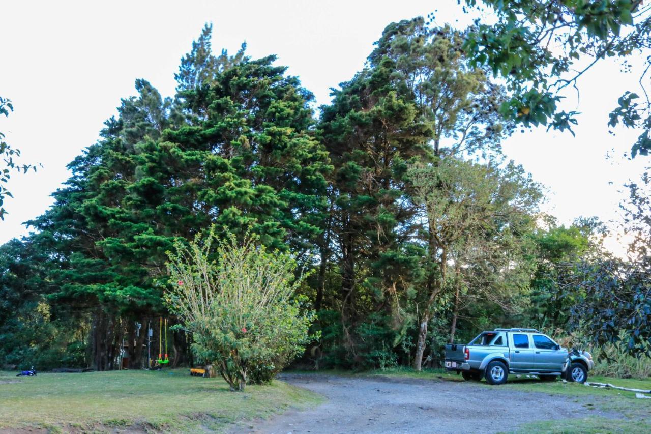 Lodge Moon Forest